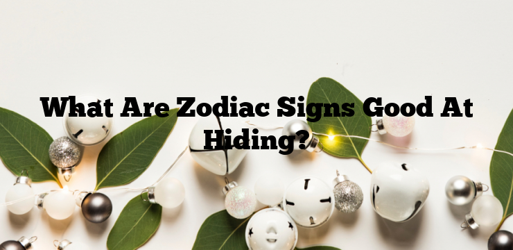 What Are Zodiac Signs Good At Hiding?