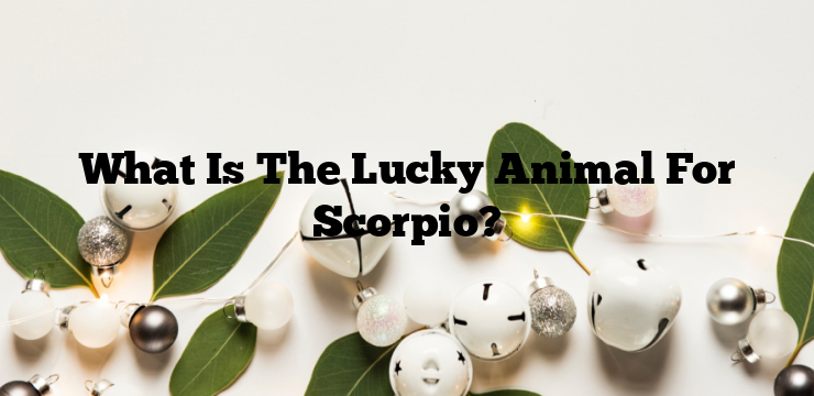 What Is The Lucky Animal For Scorpio?
