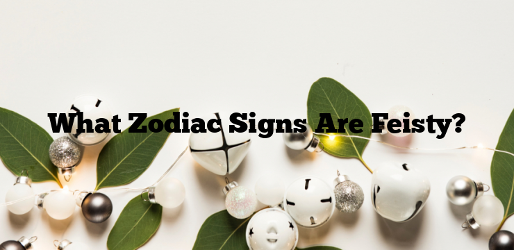 What Zodiac Signs Are Feisty?