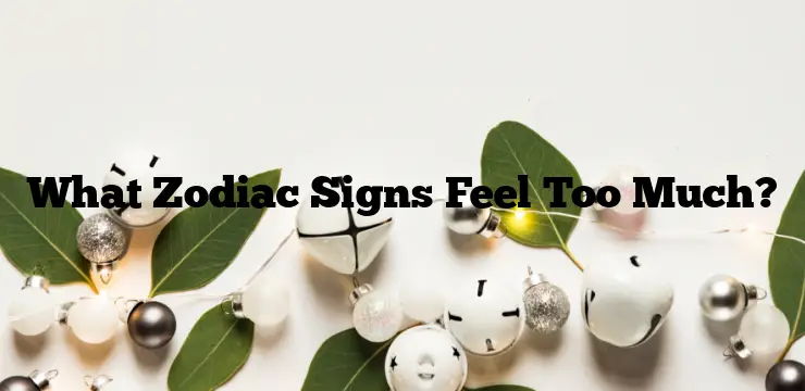 What Zodiac Signs Feel Too Much?