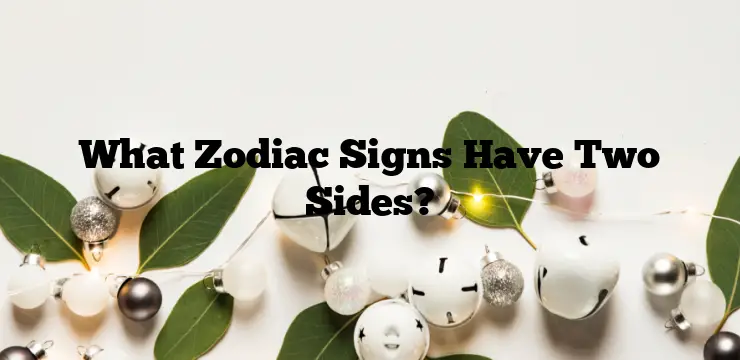 What Zodiac Signs Have Two Sides?