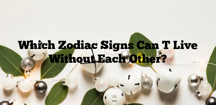 Which Zodiac Signs Can T Live Without Each Other?